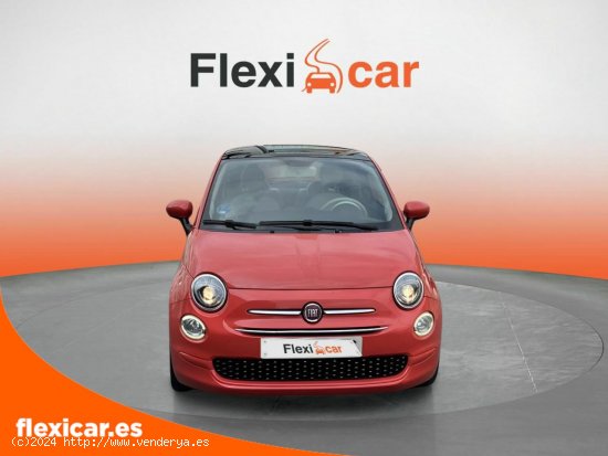 Fiat 500 Cult 1.0 Hybrid 51KW (70 CV) - Vizcaya