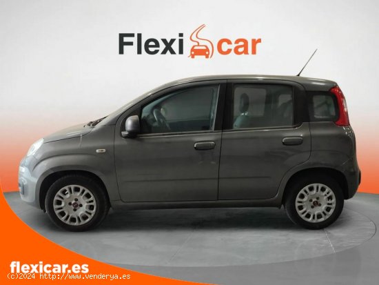 Fiat Panda 1.2 Lounge 51kW (69CV) EU6 - Las Palmas de Gran Canaria