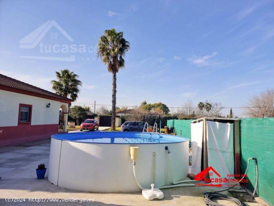 CASA CON TERRENO EN VENTA EN CARRETERA PALMA DEL RIO - CORDOBA