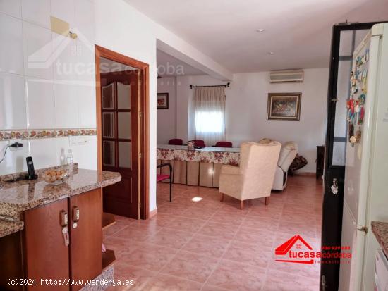 CASA CON TERRENO EN VENTA EN CARRETERA PALMA DEL RIO - CORDOBA