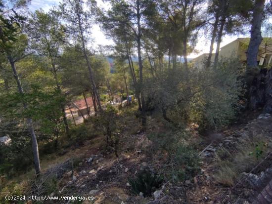 PARCELA CON ESPECTACULARES VISTAS AL MAR EN CUNIT - LOS JARDINES - TARRAGONA