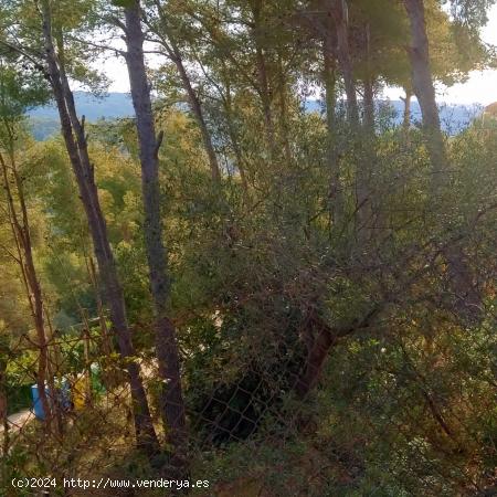 PARCELA CON ESPECTACULARES VISTAS AL MAR EN CUNIT - LOS JARDINES - TARRAGONA