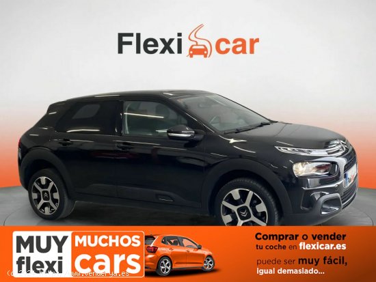  Citroën C4 Cactus BlueHDi 73KW (100CV) Business - Puebla de Sancho Pérez 