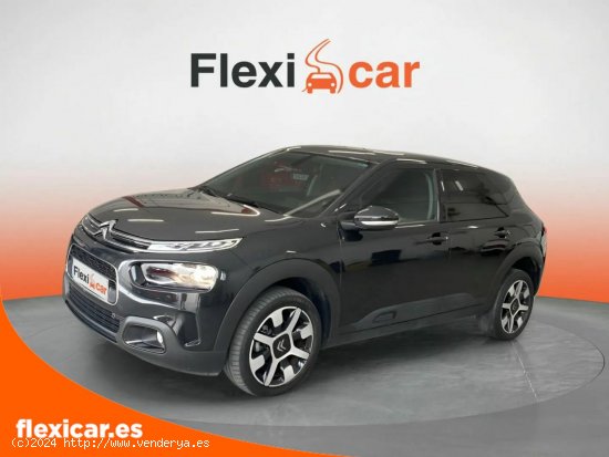 Citroën C4 Cactus BlueHDi 73KW (100CV) Business - Puebla de Sancho Pérez