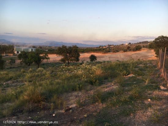  VENTA DE FINCA RUSTICA CON 2.880M2 DE SUPERFICIE, EN ZONA DE MORALEDA DE ZAFAYONA. - GRANADA 