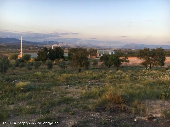 VENTA DE FINCA RUSTICA CON 2.880M2 DE SUPERFICIE, EN ZONA DE MORALEDA DE ZAFAYONA. - GRANADA