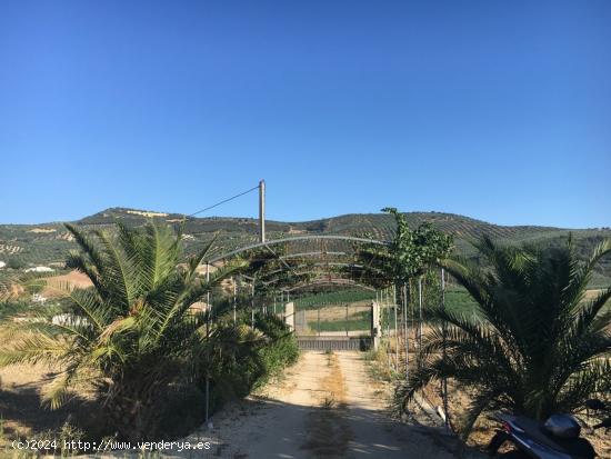 FANTÁSTICA CASA RURAL CON 336M2 EN ZONA DE MONTEFRIO. MUY BUENA ILUMINACIÓN Y DISTRIBUCIÓN. - GRA