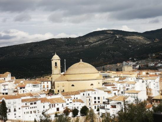 PISO EN UNA DE LAS MEJORES ZONAS DE MONTEFRÍO CON AMPLIAS SUPERFICIES Y MUY LUMINOSO !!!! - GRANADA