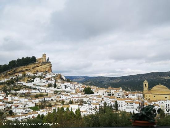 PISO EN UNA DE LAS MEJORES ZONAS DE MONTEFRÍO CON AMPLIAS SUPERFICIES Y MUY LUMINOSO !!!! - GRANADA