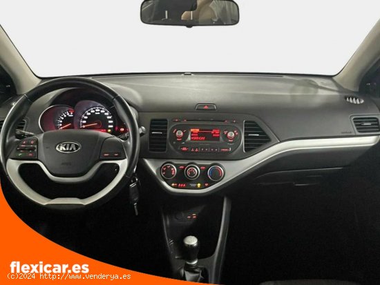 Kia Picanto 1.0 CVVT Tech - San Andrés de Palomar