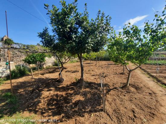 Se Vende en Vilanova i la Geltru - BARCELONA