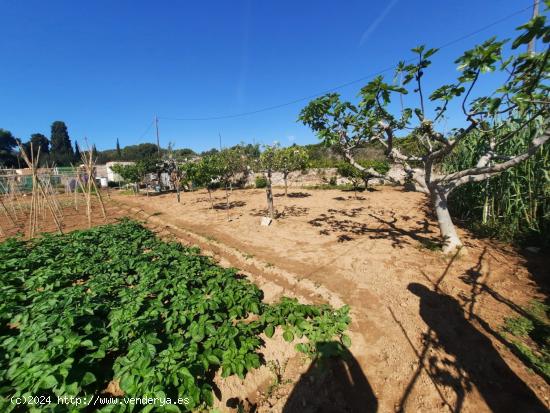 Se Vende en Vilanova i la Geltru - BARCELONA