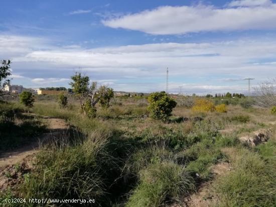 FINCA RUSTICA EN JAVALI NUEVO - MURCIA