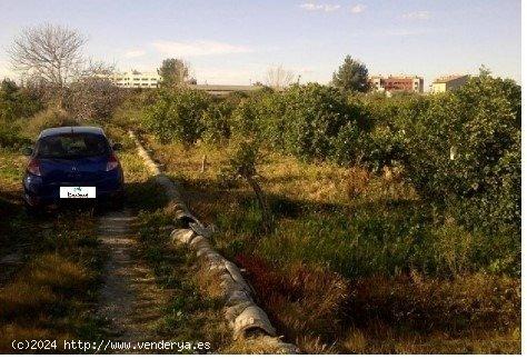 Finca rústica en Puebla de Soto (Murcia). - MURCIA