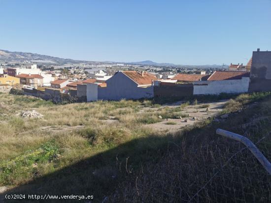 Solar edificable en Alhama de Murcia. - MURCIA