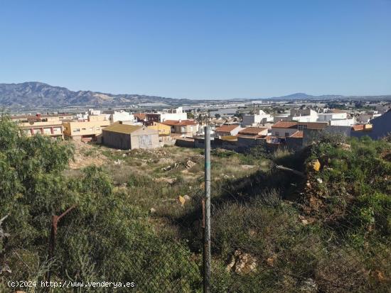 Solar edificable en Alhama de Murcia. - MURCIA