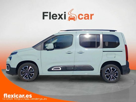 Citroën Berlingo Talla M BlueHDi 130 S&S 6v SHINE - Santander