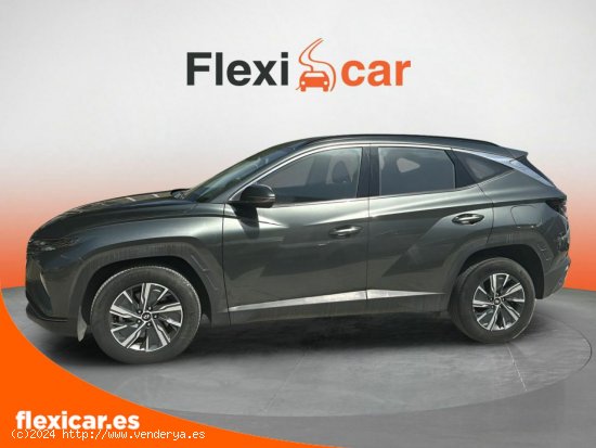 Hyundai Tucson 1.6 TGDI 169kW (230CV) HEV Maxx Auto - Palma Islas Baleares