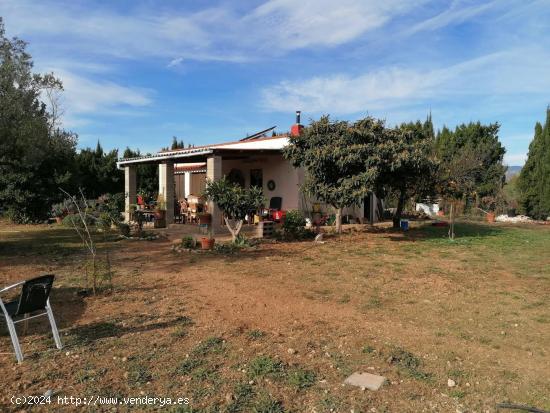  FINCA RUSTICA EN GODALL CON CASA, AGUA I LUZ - TARRAGONA 