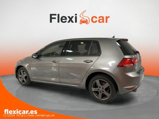 Volkswagen Golf Business 1.6 TDI 110CV BMT DSG - Vitoria-Gasteiz