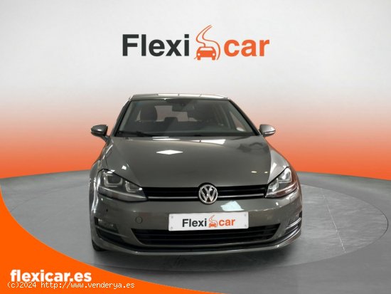 Volkswagen Golf Business 1.6 TDI 110CV BMT DSG - Vitoria-Gasteiz