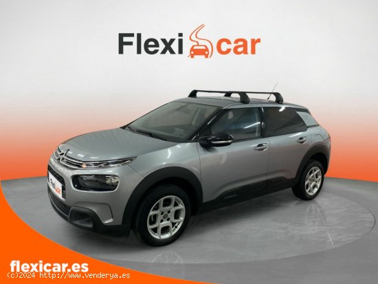 Citroën C4 Cactus BlueHDi 100 S&S Business - Cáceres