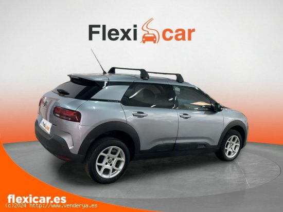 Citroën C4 Cactus BlueHDi 100 S&S Business - Cáceres