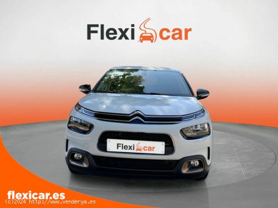 Citroën C4 Cactus PureTech 110 S&S Shine - Móstoles