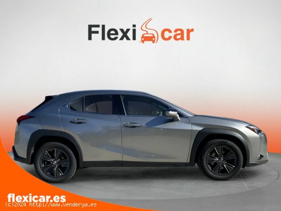 Lexus UX 2.0 250h Business - Olías del Rey