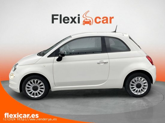 Fiat 500 Cult 1.0 Hybrid 51KW (70 CV) - Vizcaya