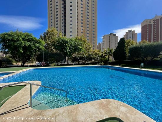 Se Vende en Benidorm - ALICANTE