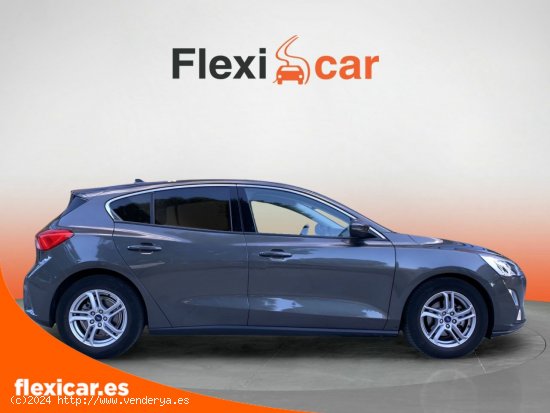 Ford Focus 1.0 Ecoboost 92kW Trend+ - 5 P (2019) - Vic