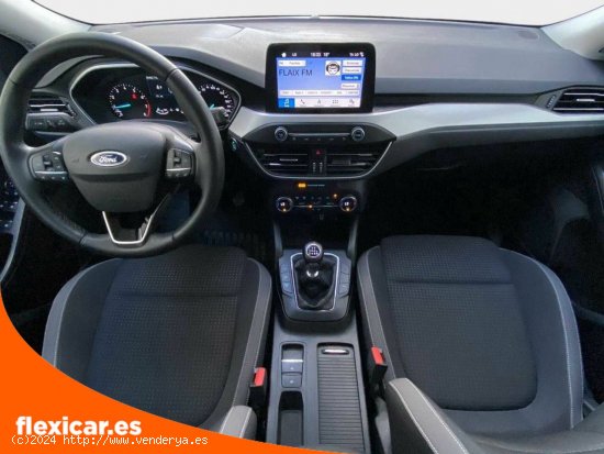 Ford Focus 1.0 Ecoboost 92kW Trend+ - 5 P (2019) - Vic