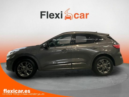 Ford Kuga ST-Line X 2.5 Duratec FHEV Auto - Pamplona