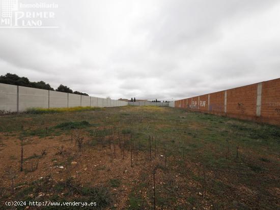 Se vende solar en Tomelloso con 3250m2 de superficie y 25 de fachada - CIUDAD REAL