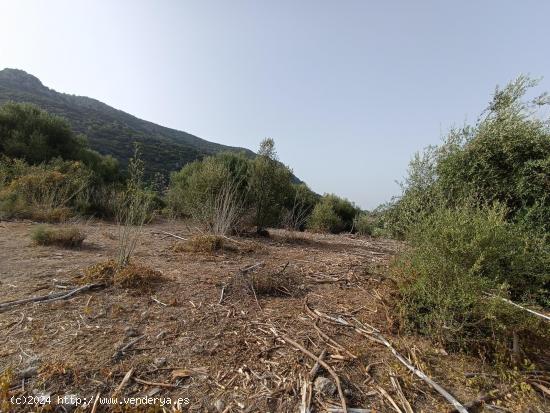 VENTA PARCELA ALREDEDORES DE EL BOSQUE - CADIZ