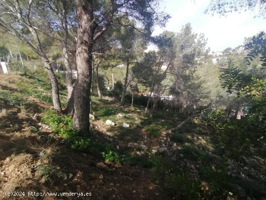 Terreno urbano en la urbanización Els Jardins, Cunit - TARRAGONA