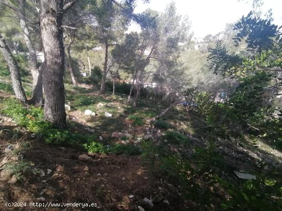 Terreno urbano en la urbanización Els Jardins, Cunit - TARRAGONA