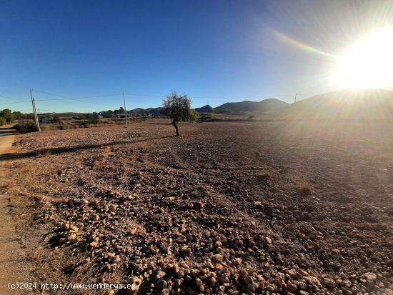 Parcela con proyecto y licencia de obra en Purias - MURCIA