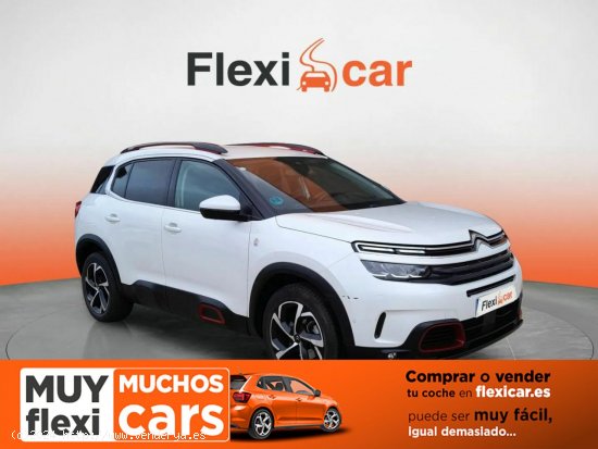 Citroën C5 Aircross BlueHdi 96kW (130CV) S&S EAT8 C Series - Don Benito