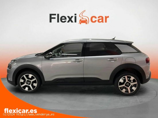 Citroën C4 Cactus PureTech 81KW (110CV) S&S Feel - Viladecans