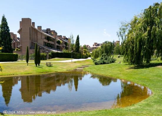 Exclusivo Dúplex de Lujo en la Finca - MADRID