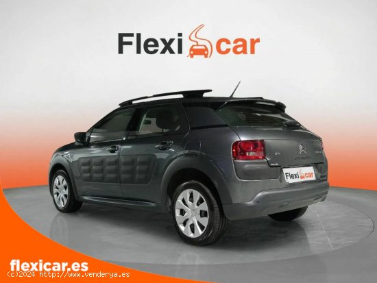 Citroën C4 Cactus PureTech 110cv S&S Feel - Gijón