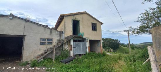 Se vende cabaña para reformar con terreno en Beranga - CANTABRIA