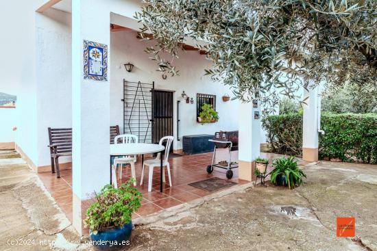 FINCA RUSTICA CON CASA EN VENTA EN FREGINALS (TARRAGONA) - TARRAGONA