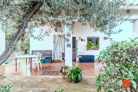 FINCA RUSTICA CON CASA EN VENTA EN FREGINALS (TARRAGONA) - TARRAGONA