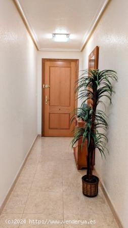 Acogedor apartamento en Torrevieja - ALICANTE