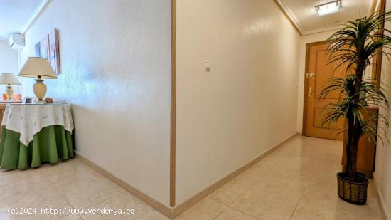 Acogedor apartamento en Torrevieja - ALICANTE