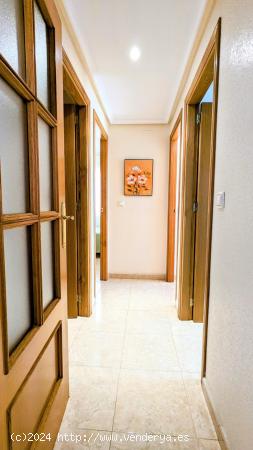 Acogedor apartamento en Torrevieja - ALICANTE