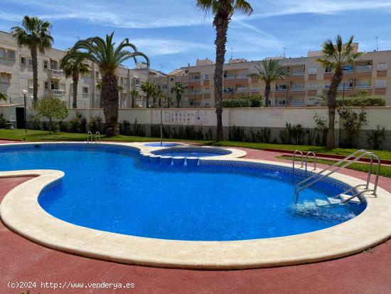 Bonito apartamento de planta baja con vista a la piscina y jardín comunal. - ALICANTE